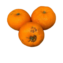 Orange amère