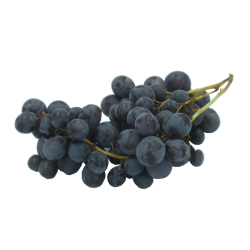 Raisin muscat