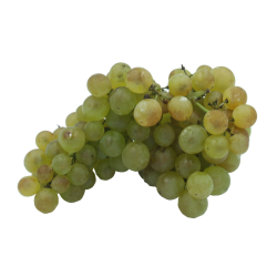 Raisin blanc Chasselas du pays