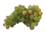 Raisin blanc Chasselas du pays